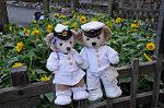 Dcim8181/DSC_0807
