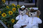 Dcim8181/DSC_0812