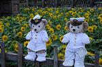 Dcim8181/DSC_0830