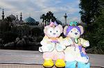 Dcim8192/DSC_1649