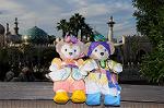 Dcim8192/DSC_1655