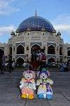 Dcim8192/DSC_1709