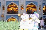 Dcim8192/DSC_1720