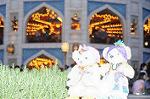 Dcim8192/DSC_1721
