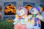 Dcim8192/DSC_1730