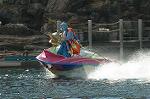 Dcim8203/DSC_7768