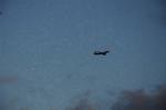Dcim8212/DSC_3528