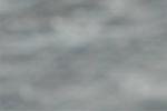 Dcim8222/DSC_3432