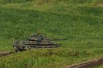 Dcim8231/DSC_4486