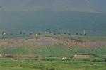 Dcim8231/DSC_4585