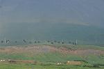 Dcim8232/DSC_4601