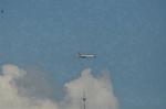 Dcim8236/DSC_5153