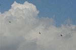 Dcim8236/DSC_5171