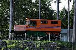 Dcim8239/DSC_5571