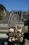 Dcim8244/DSC_5744