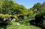 Dcim8244/DSC_5749