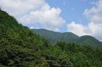 Dcim8245/DSC_5928