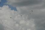 Dcim8265/DSC_7747