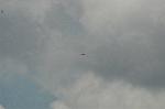 Dcim8266/DSC_7802