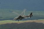 Dcim8266/DSC_7809