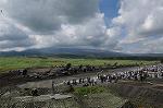 Dcim8267/DSC_7916