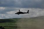 Dcim8267/DSC_8003