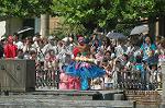 Dcim8272/DSC_8994
