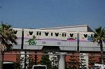 Dcim8275/DSC_8020