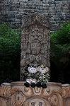 Dcim8279/DSC_8554