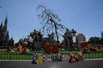 Dcim8294/DSC_0215