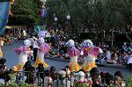 Dcim8295/DSC_0378