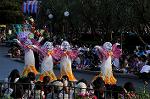 Dcim8295/DSC_0381
