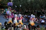Dcim8295/DSC_0382