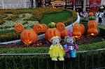 Dcim8296/DSC_0521