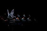 Dcim8297/DSC_0711