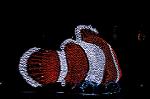 Dcim8298/DSC_0826