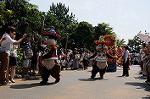 Dcim8307/DSC_1378