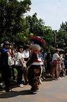 Dcim8307/DSC_1381