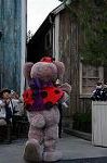 Dcim8309/DSC_1718