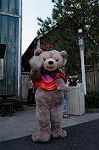 Dcim8310/DSC_1828