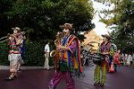 Dcim8313/DSC_2263