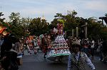 Dcim8313/DSC_2351