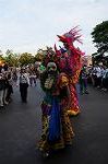 Dcim8314/DSC_2424
