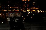 Dcim8317/DSC_2883