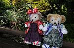 Dcim8318/DSC_2979