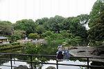 Dcim8319/DSC_3086