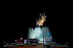 Dcim8324/DSC_0473