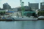 Dcim8325/DSC_3095