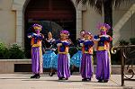 Dcim8325/DSC_3154