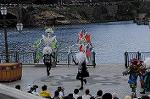 Dcim8327/DSC_3453